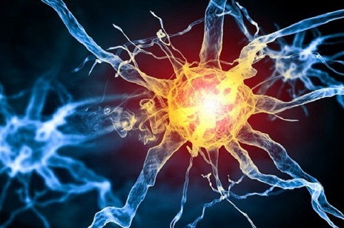 Viêm đa rễ dây thần kinh (Hội chứng Guillain - Barre) - Bệnh viện Sản Nhi tỉnh Phú Thọ