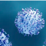 Các thuốc phòng ngừa nhiễm virus hợp bào hô hấp (RSV) ở trẻ em.